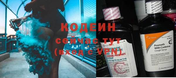 ПСИЛОЦИБИНОВЫЕ ГРИБЫ Кодинск