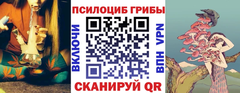 Галлюциногенные грибы прущие грибы  Кувандык 