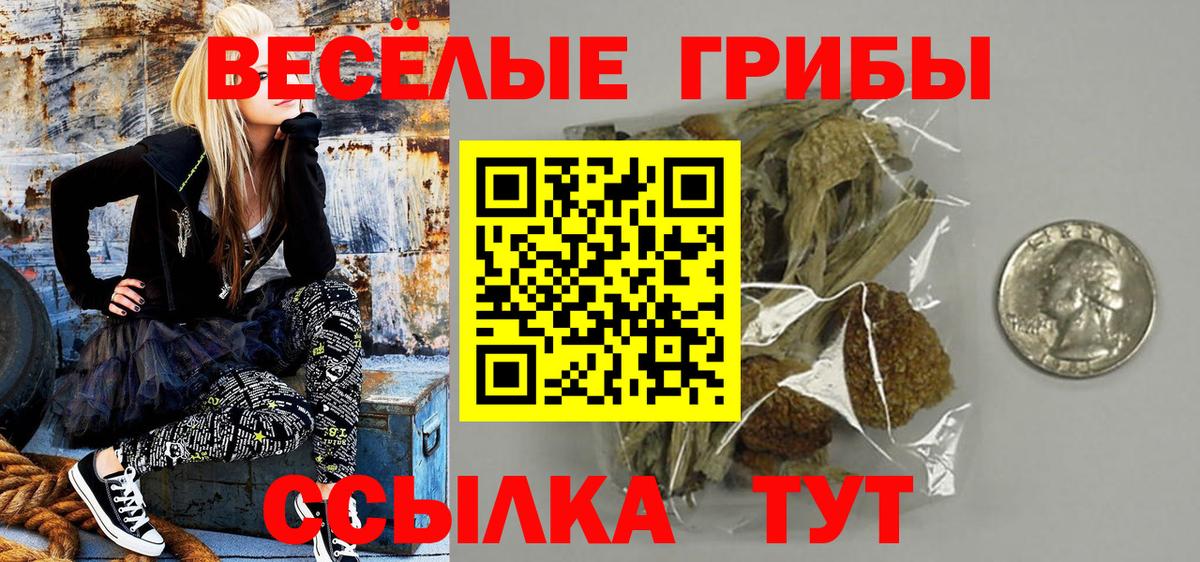 Кувандык  Галлюциногенные грибы мицелий  Вход с VPN 