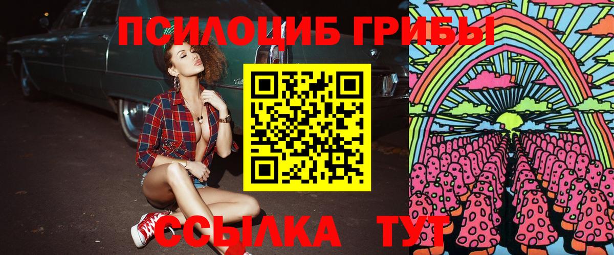 Галлюциногенные грибы Psilocybine cubensis Кувандык